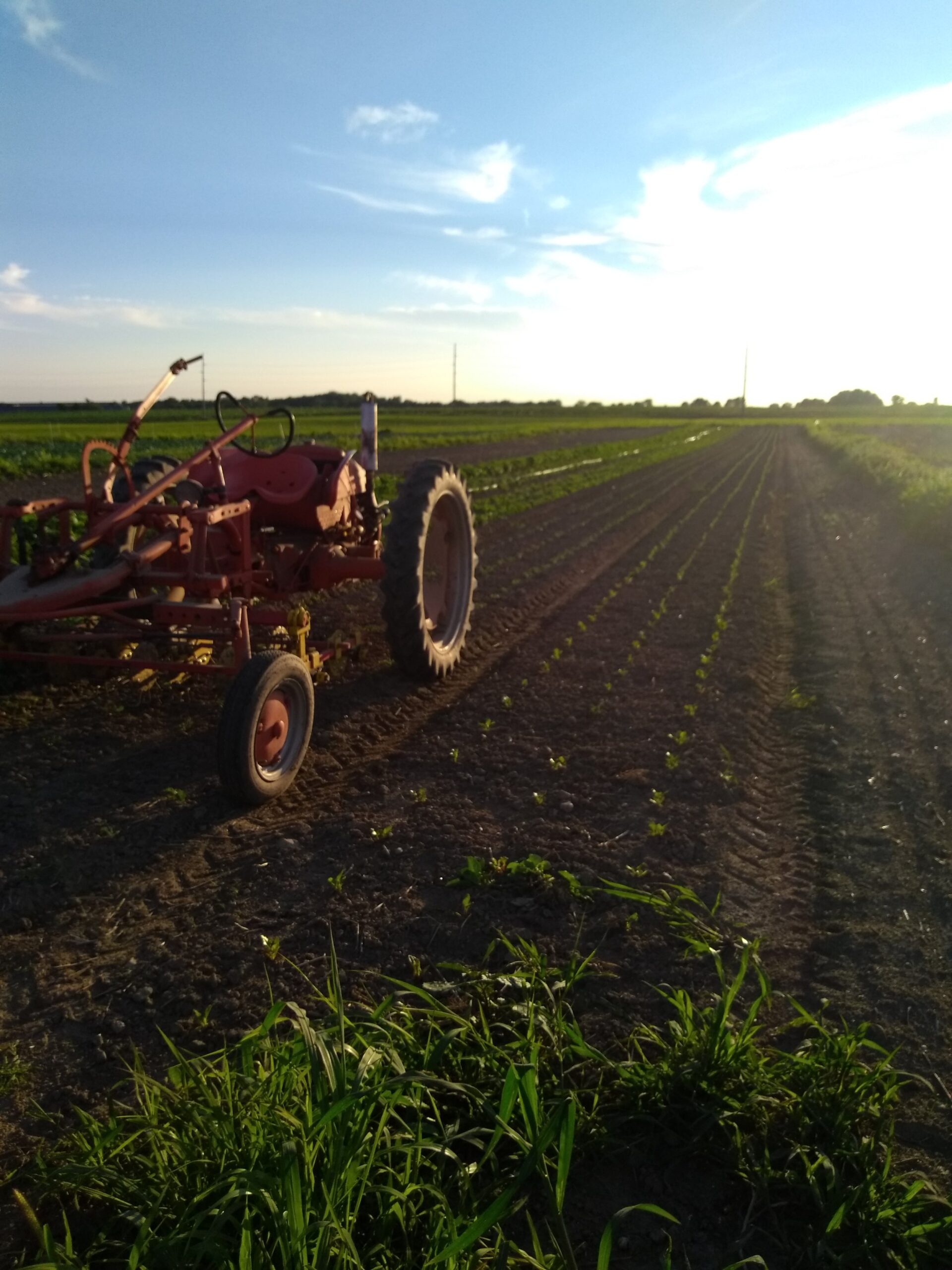 Ridge+Lane+Farm+Indiana+-+IMG_20190809_200814448