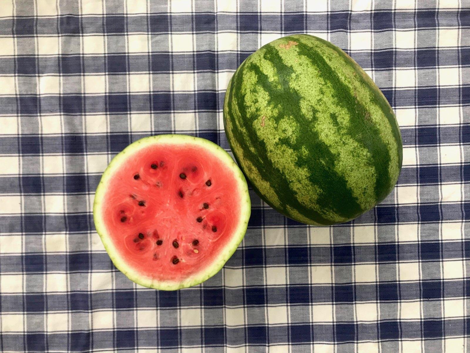 Ridge+Lane+Farm+Indiana+-+Watermelon